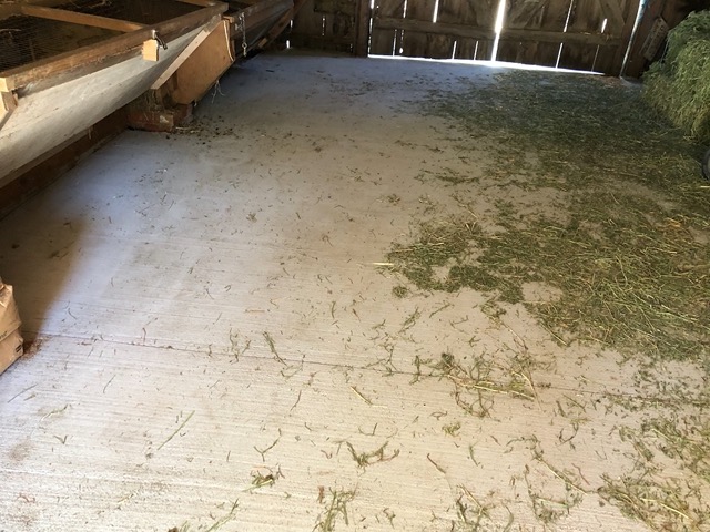 The new concrete floor of the white barn!