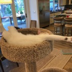 IMG_9481.jpeg