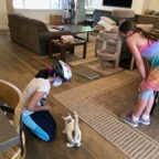 IMG_9554.jpeg