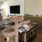 IMG_9591.jpeg