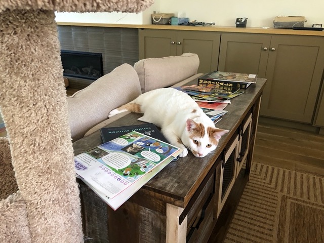 And Gizmo on the console table.  It's hot out