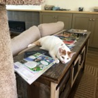 IMG_9592.jpeg
