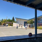 IMG_9601.jpeg