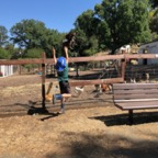 IMG_9617.jpeg