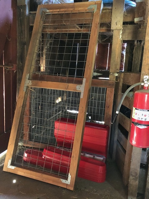 New red feeding troughs for the pigs