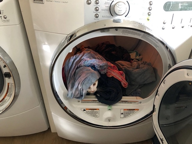 I mean, I could understand the appeal if it were warm, dry laundry
