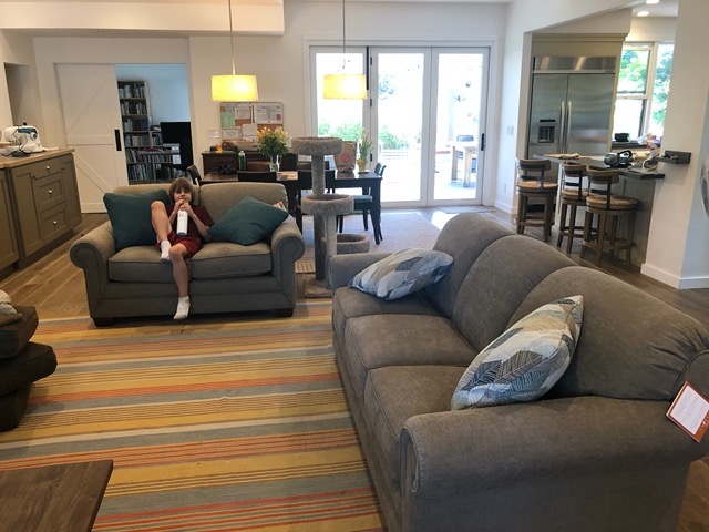 Our new couch and loveseat finally made it!!  We'd been waiting for 5 months