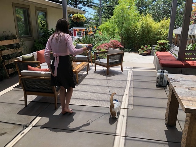 Walking Gizmo