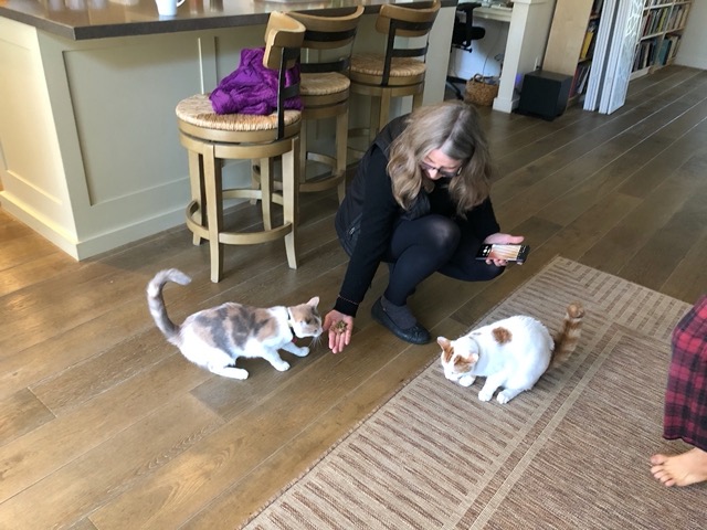 Becky meeting the cats the next day