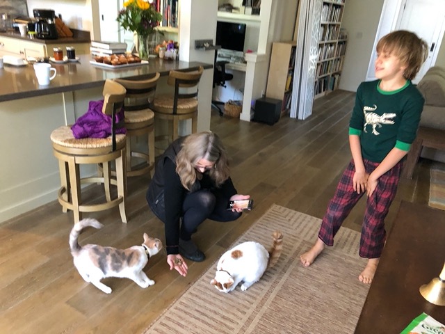 She gave them treats