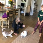 IMG_9680.jpeg