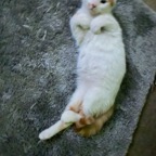 IMG_6533.jpeg