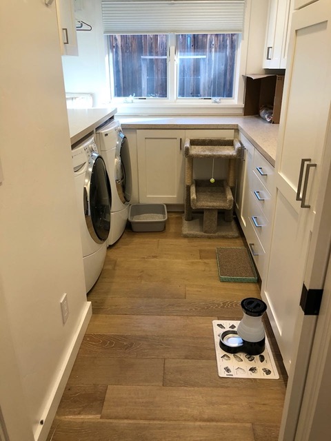 The laundry room, set up to be the kitty room!