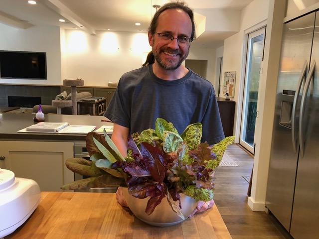 Mike with gorgeous lettuces from our garden