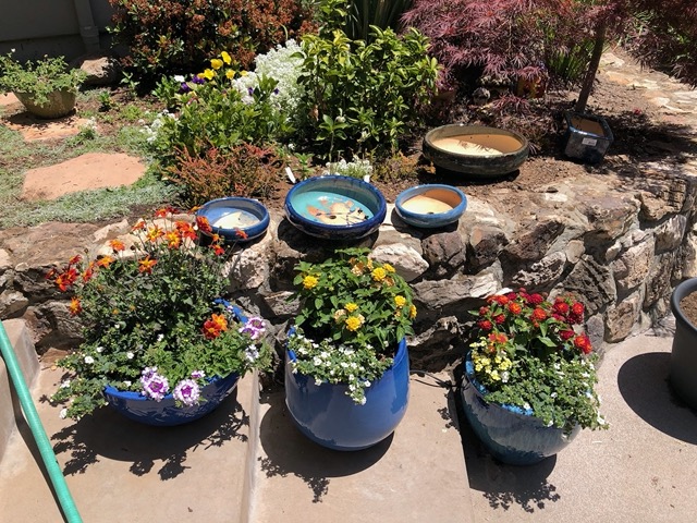 The blue pots on the stairs, with succulents above them