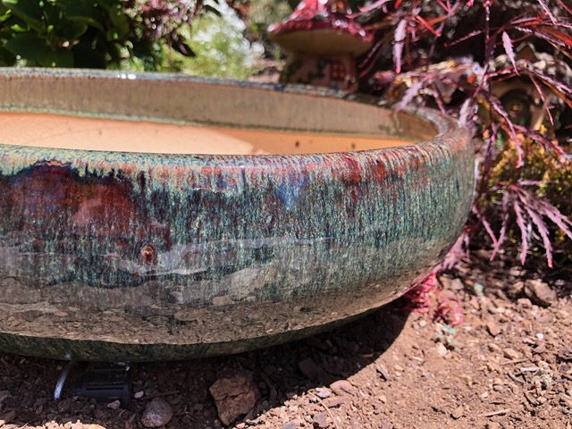 In the end I exchanged the blue succulent pots for more greenish-brown ones to blend in with the wall