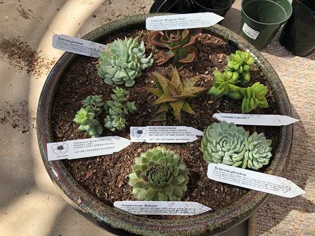 I took pictures of each pot with the tags in place