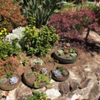 IMG_9739.jpeg
