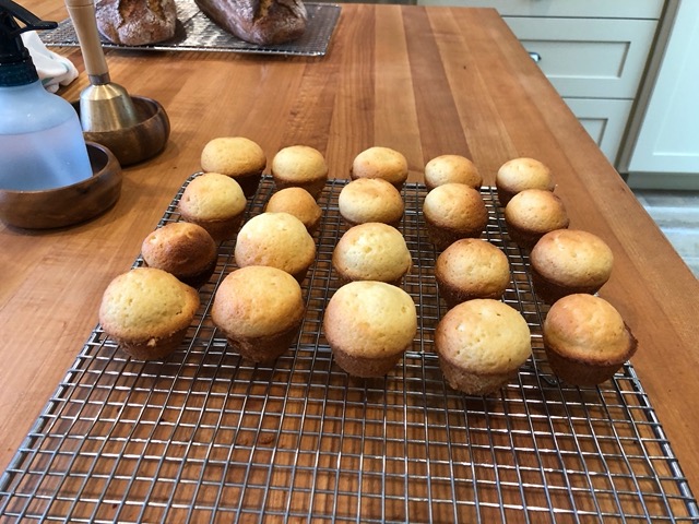 Madeleines!  She used a muffin tin so they're round