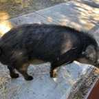IMG_9763.jpeg