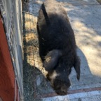 IMG_9765.jpeg