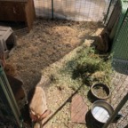 IMG_9768.jpeg
