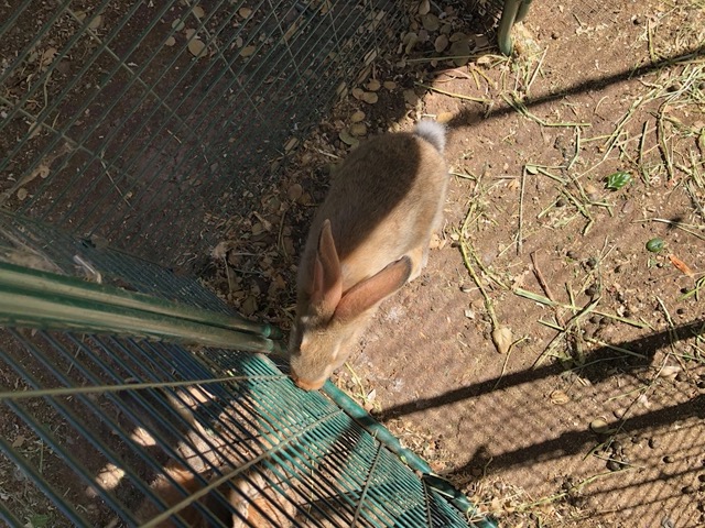 One of the babies