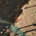 IMG_9770.jpeg