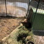 IMG_9771.jpeg