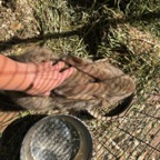 IMG_9774.jpeg