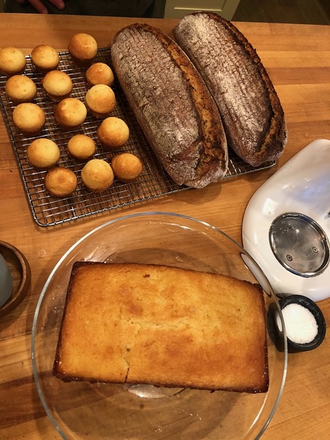 Lots of baking: madeleines, sourdough, and a lemon loaf