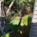 IMG_9784.jpeg