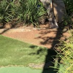 IMG_9785.jpeg