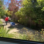 IMG_9794.jpeg