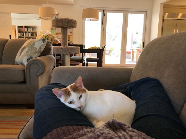 Yeah, that's comfortable
