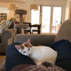 IMG_9803.jpeg