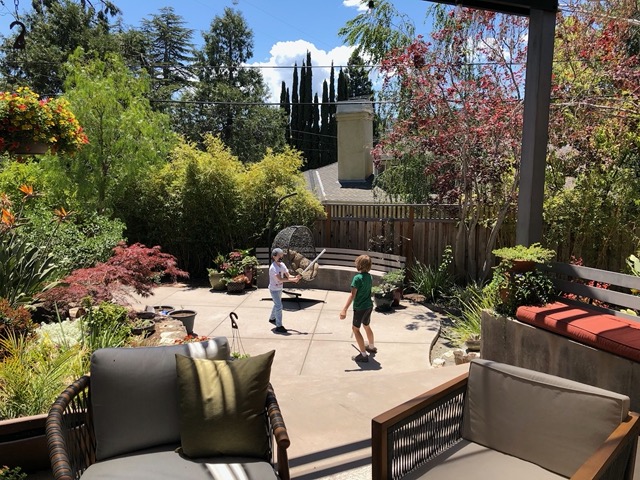 Owen and Jake playing in the backyard