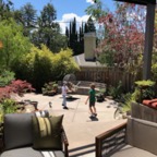 IMG_9814.jpeg
