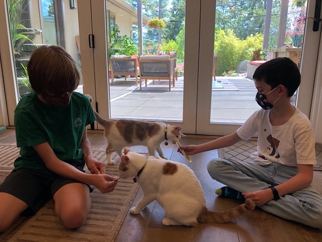 And with the kitties