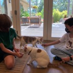 IMG_9815.jpeg