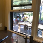 IMG_9817.jpeg