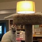 IMG_9848.jpeg