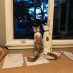 IMG_9858.jpeg