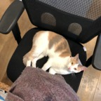 IMG_9860.jpeg