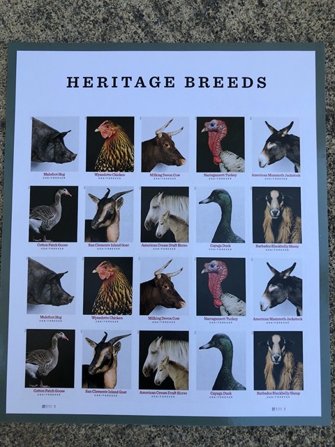 New stamps with heritage breeds!