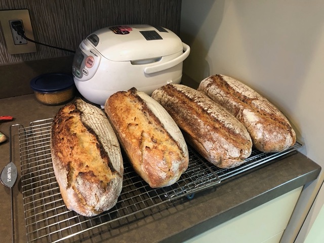 Very happy with these loaves, especially the white sourdougs on the left