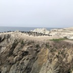 IMG_9910.jpeg