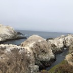 IMG_9913.jpeg