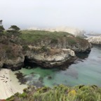 IMG_9916.jpeg