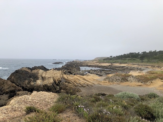 Looking West over the tide pools